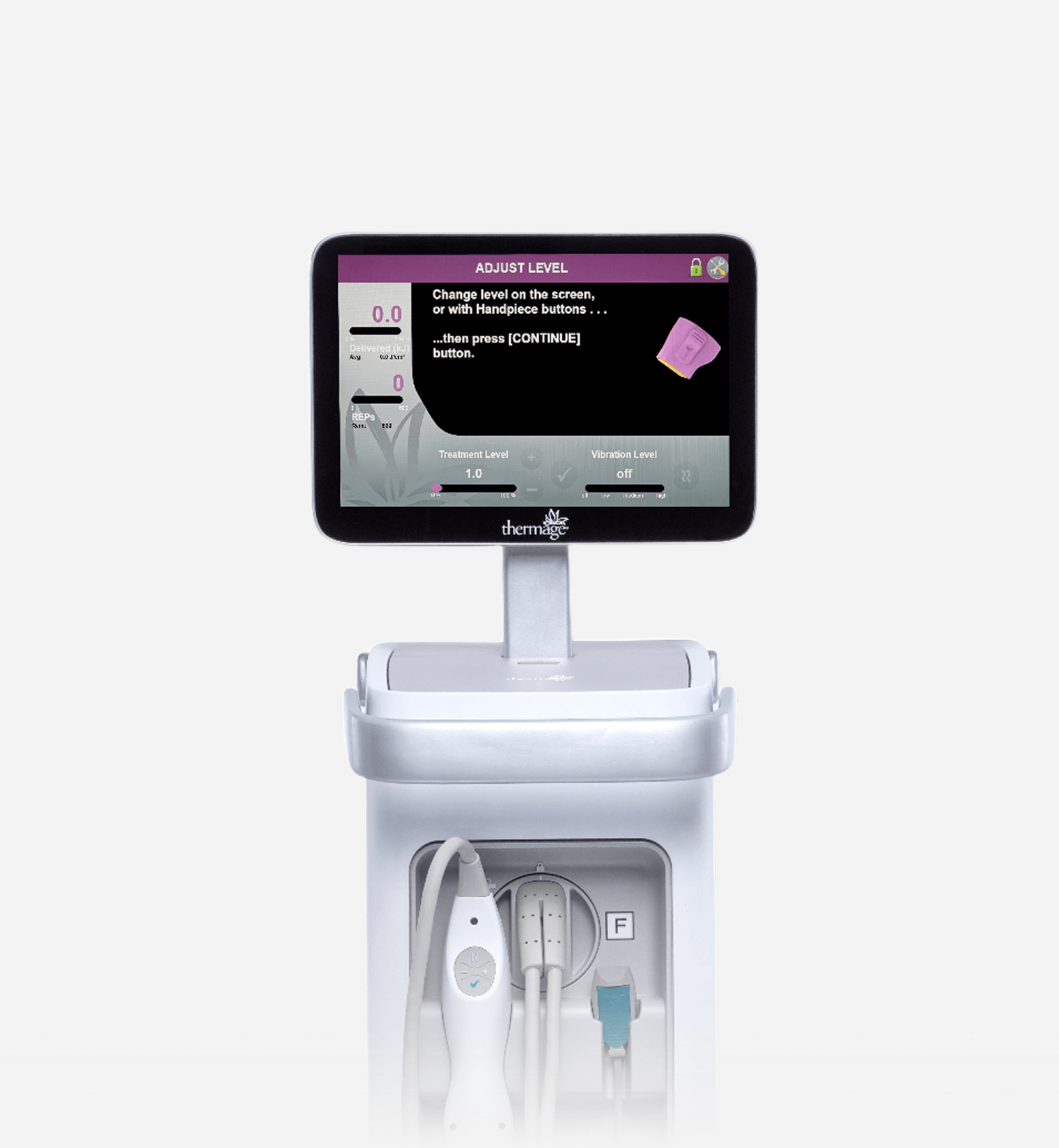 Thermage FLX