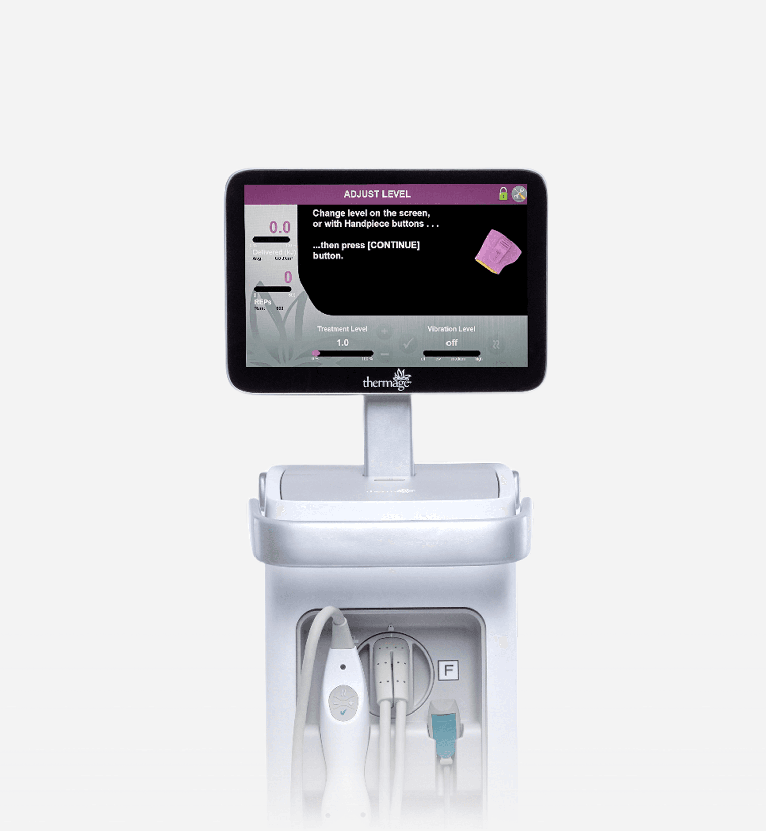 Thermage FLX